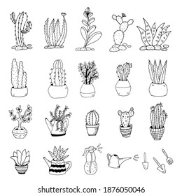 Collection of hand drawn cacti. Big set cute of hand drawn house plants in pots including cactus, dracena, aloe and others, and garden tools. Vector collection of doodle plants.
