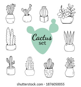 Collection of hand drawn cacti. Big set cute of hand drawn house plants in pots including cactus, dracena, aloe and others, and garden tools. Vector collection of doodle plants.