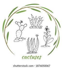 Collection of hand drawn cacti. Big set cute of hand drawn house plants in pots including cactus, dracena, aloe and others, and garden tools. Vector collection of doodle plants.