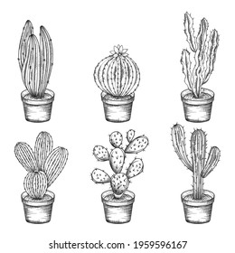 Collection of hand drawn cactus isolated on white background.