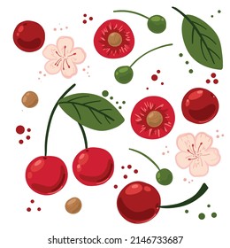 Colección de cerezas dibujadas a mano. Paquete de deliciosos productos vegetarianos de dieta vegetariana frescos, comida saludable saludable saludable, ingredientes de cocina. Estilo de caricatura plano sobre un fondo blanco.