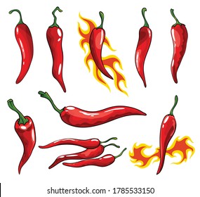 Collection of hand drawn chili peppers. Super hot red chilli peppers. Red isolated spicy mexican peppers on white background. Natural healthy food. Spicy ingredient