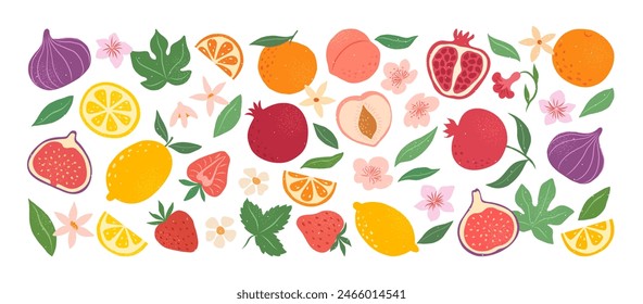 Collection hand drawn colorful abstract fruits, leaves and flowers. Natural tropical fruits. Strawberry, peach, lemon, pomegranate, fig, orange. Vector illustration.