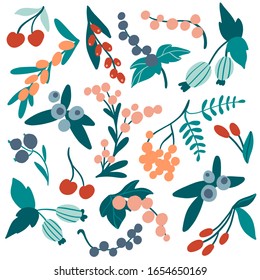 Collection with hand drawn colorful doodle berry branches and leaves. Blueberry, cherry, currant, rowanberry. Vector. Flat hand drawn plants set. Vegan, farm, detox, natural food concept. Summer  food