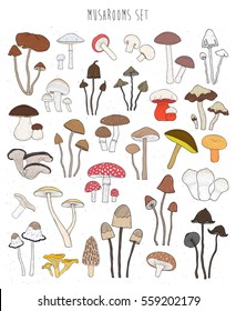 Collection of hand drawn colorful mushrooms. Set isolated edible, inedible, hallucinogenic fungus. Sketch vector illustration