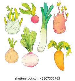 Colección de verduras de raíz coloridas dibujadas a mano. Abeja aislada, papa, rábano daikon, rábano, zanahoria, cebolla, ajo, raíz de apio, nabo sobre fondo blanco.