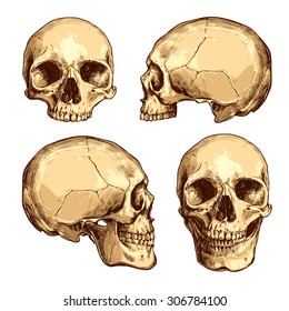 Collection Of Hand Drawn Colorful Skulls. Vector Skulls Illustrations