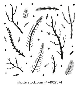 Collection of hand drawn coniferous branches and rustic twigs isolated on white background.