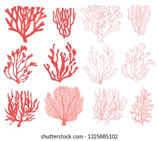 Collection of hand drawn corals on white background. Elements for design.