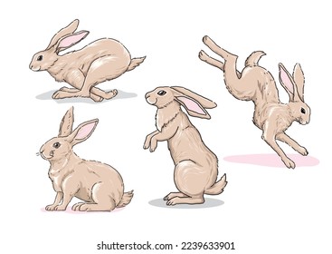 collection of hand drawn Cute Rabbit Illustration, Hand drawn Style, isolated Vector