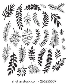 A collection of hand drawn delicate decorative vintage leaves in black and white. Vector illustration.
