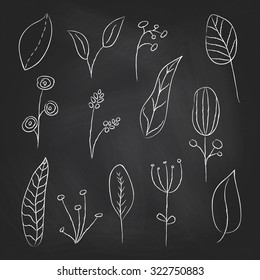 A collection of hand drawn delicate decorative vintage leaves in chalkboard background. Vector illustration.