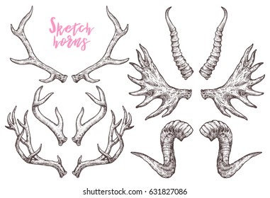 Collection Of Hand Drawn Different Animals Horns. Sketch Horns Of Deer, Antelope, Ram, Sheep, Elk. Boho And Rustic Illustration