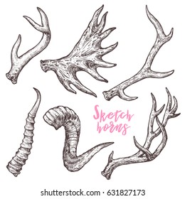 Collection Of Hand Drawn Different Animals Horns. Sketch Horns Of Deer, Antelope, Ram, Sheep, Elk