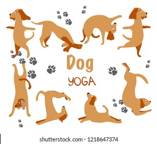 Collection hand drawn. Dog yoga. Transparent background. Vector