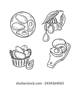 Sammlung von handgezeichneten Doodle Outline Avocados. Schwarze skizzenhafte Zeichnung isoliert auf weißem Hintergrund. Gesundes Esskonzept. Ideal zum Färben von Seiten, Tattoo, Muster