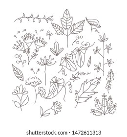 Collection of hand drawn doodle plants. Vector EPS 10.