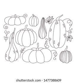 Collection of hand drawn doodle pumpkins. Vector EPS 10.