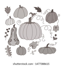 Collection of hand drawn doodle pumpkins. Vector EPS 10.