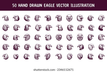 collection hand drawn eagle vector illustration. hand drawn vector illustration