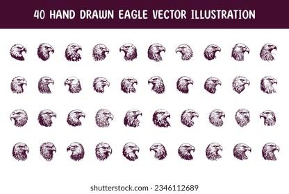 collection hand drawn eagle vector illustration. hand drawn vector illustration
