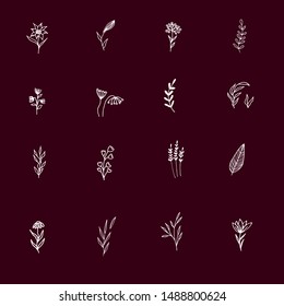 Collection of Hand Drawn Element with Wildflower and Leaves. Flowers clipart.
Instagram Story Highlight Icon. Set of Hand Drawn design element with flower and leaf. Hand Boho Flower Logo design. 