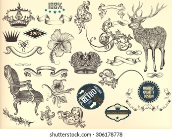 Collection of hand drawn elements in vintage style