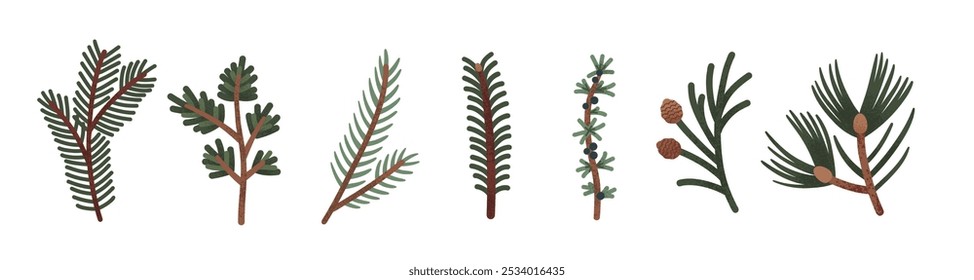 Collection of hand drawn evergreen tree branches and pinecones in minimalist style. Natural botanical forest decoration. Coniferous needles pine, fir, and spruce twig. Vector