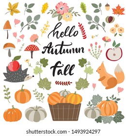 Collection of hand drawn fall elements, animals, pumpkins, ripe fruits, mushrooms, flowers, floral branches and lettering phrases on modern sketch style