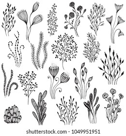 Collection of hand drawn fantasy nature elements, flowers, plants, branches. Black and white vector set
