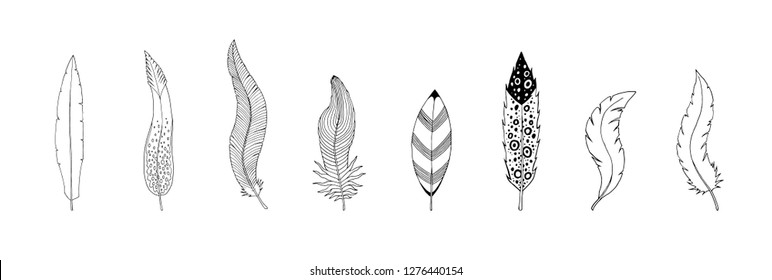 Collection of hand drawn feather. Ink illustration. Isolated on white background. Set of decorative animals feathers. Hand drawn vector art.