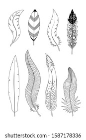 Collection of hand drawn feather. Ink illustration. Isolated on white background. Set of decorative animals feathers. Hand drawn vector art.