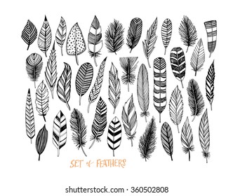 Collection hand drawn feather  Ink illustration  Isolated white background  Set decorative animals feathers  Hand drawn vector art 