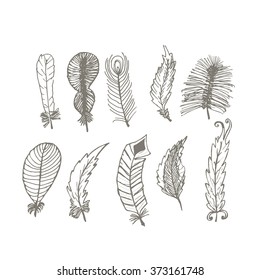 Collection of hand drawn feather. Ink illustration. Isolated on white background. Set of decorative animals feathers. Hand drawn vector art.    