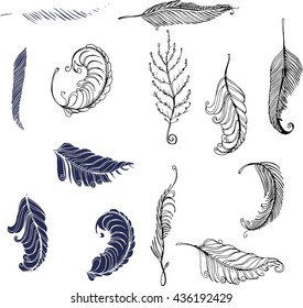 Collection of hand drawn feather. Ink illustration. Isolated on white background. Set of decorative animals feathers. Hand drawn vector art.