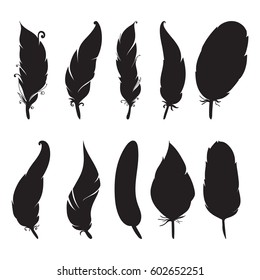 Collection of hand drawn feather. Ink illustration. Isolated on white background. Set of decorative animals feathers. Hand drawn vector art.