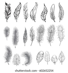 Collection of hand drawn feather. Ink illustration. Isolated on white background. Set of decorative animals feathers. Hand drawn vector art.