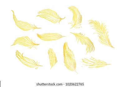 Collection of hand drawn feather. Isolated on white background. Set of decorative animals birds feathers. Hand drawn vector art. Brush pen golden ink illustration.