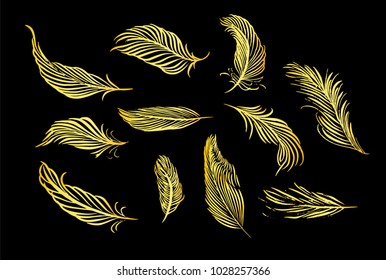 Collection of hand drawn feather. Isolated on white background. Set of decorative animals birds feathers. Hand drawn vector art. Brush pen golden ink illustration.