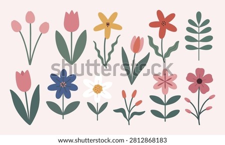 Collection of hand drawn flat flowers and botanical elements with botanical collection illustration blooming decorative colorful seasonal