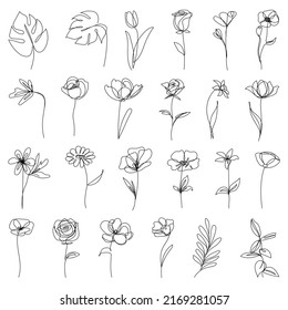 Colección de elementos florales dibujados a mano