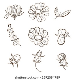Collection of hand drawn floral elements in elegant line art style. Flowers, leaves are made in outline. For packaging, invitations, cards, textiles and decorative projects.