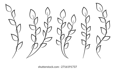 A collection of hand drawn floral elements featuring slender stems with leaves, suitable for decorative purposes