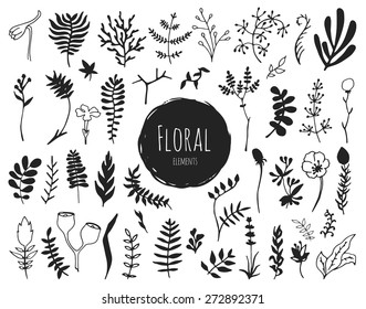 Collection of hand drawn floral elements. You can use the set to create your own compositions