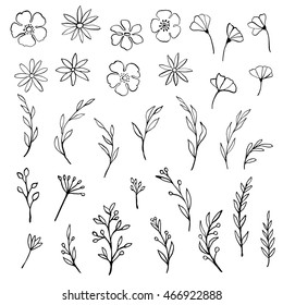 Collection of hand drawn floral elements