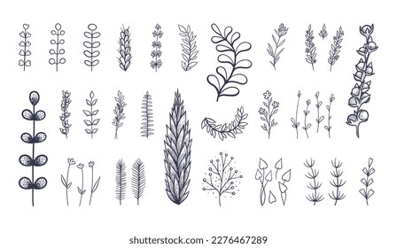 Las ramas de flores dibujadas a mano de colección las hierbas naturales en el estilo de línea. Ilustración de belleza para decorar el diseño de postales