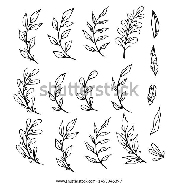 Collection of Hand Drawn Flower
Ornament With Branches and Leaves. Decorative Elements for
Decoration