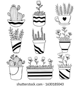 Handdrawn Succulents Cactus Doodle Set Stock Vector (Royalty Free ...