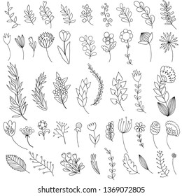 collection of hand drawn flowers and branches