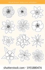 Collection of hand drawn flowers and branches. Printable sticker set